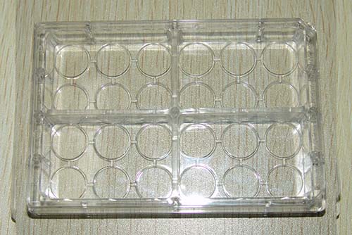 Tissue culture plate Image 2