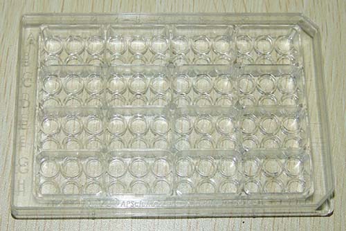 Tissue culture plate Image 3
